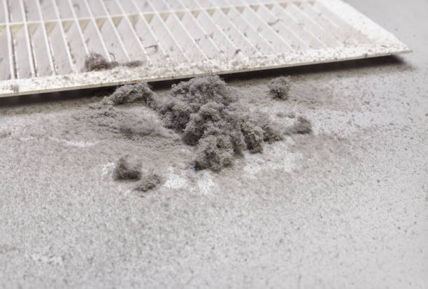 Best Affordable Duct Cleaning Services  in Winter Beach, FL
